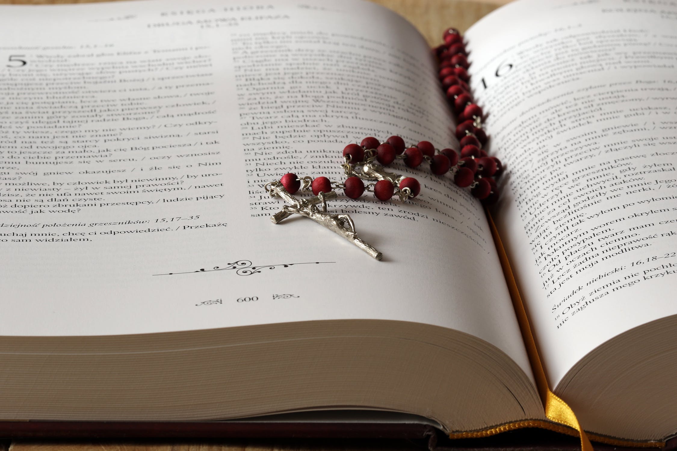 dark divine bibbia