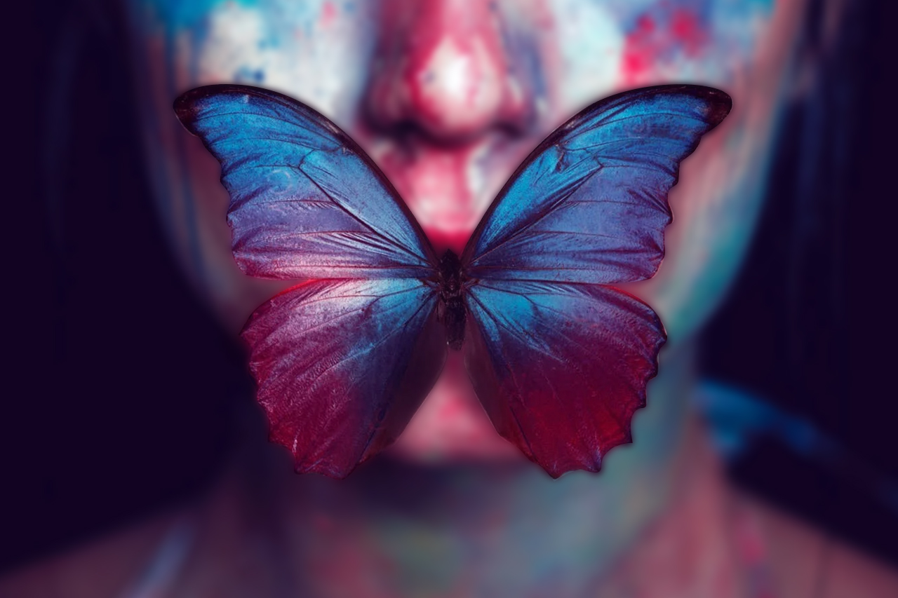 Segnalazione: La farfalla d’ombra di Yali Ou Ametistha