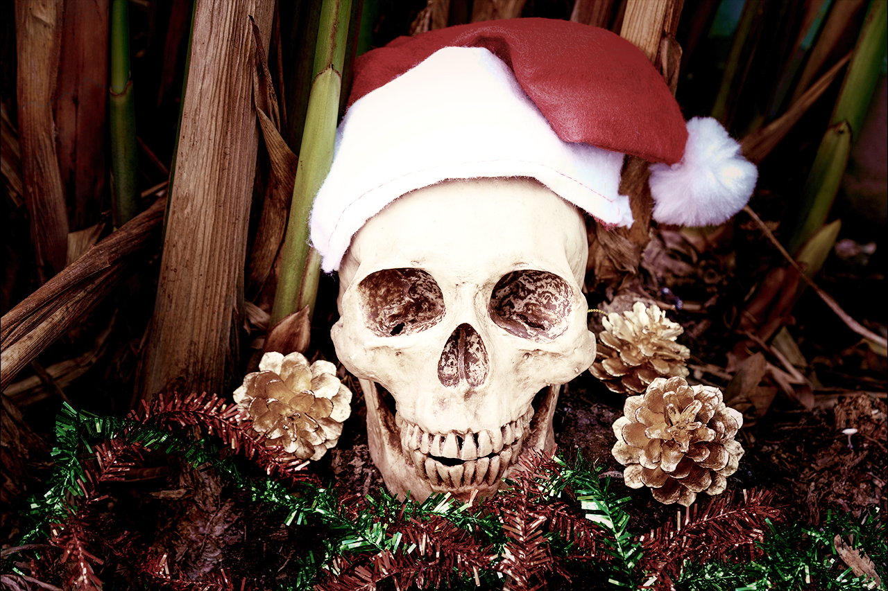 Il Caso Elatan – Sull’orlo del foglio – Speciale Natale 3°posto