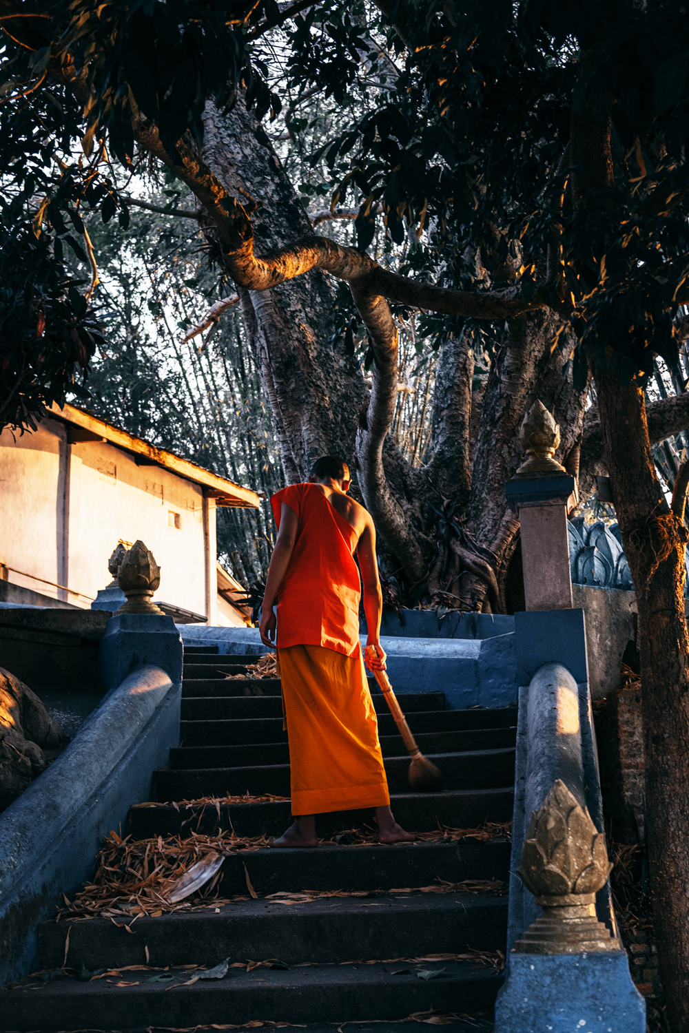 monaco che pulisce il tempio - haru - le sette vie del drago di francesco codenotti 