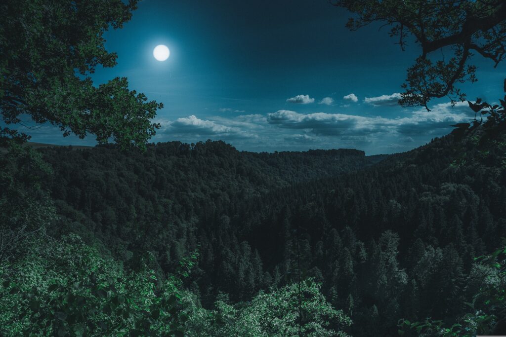 Luna piena