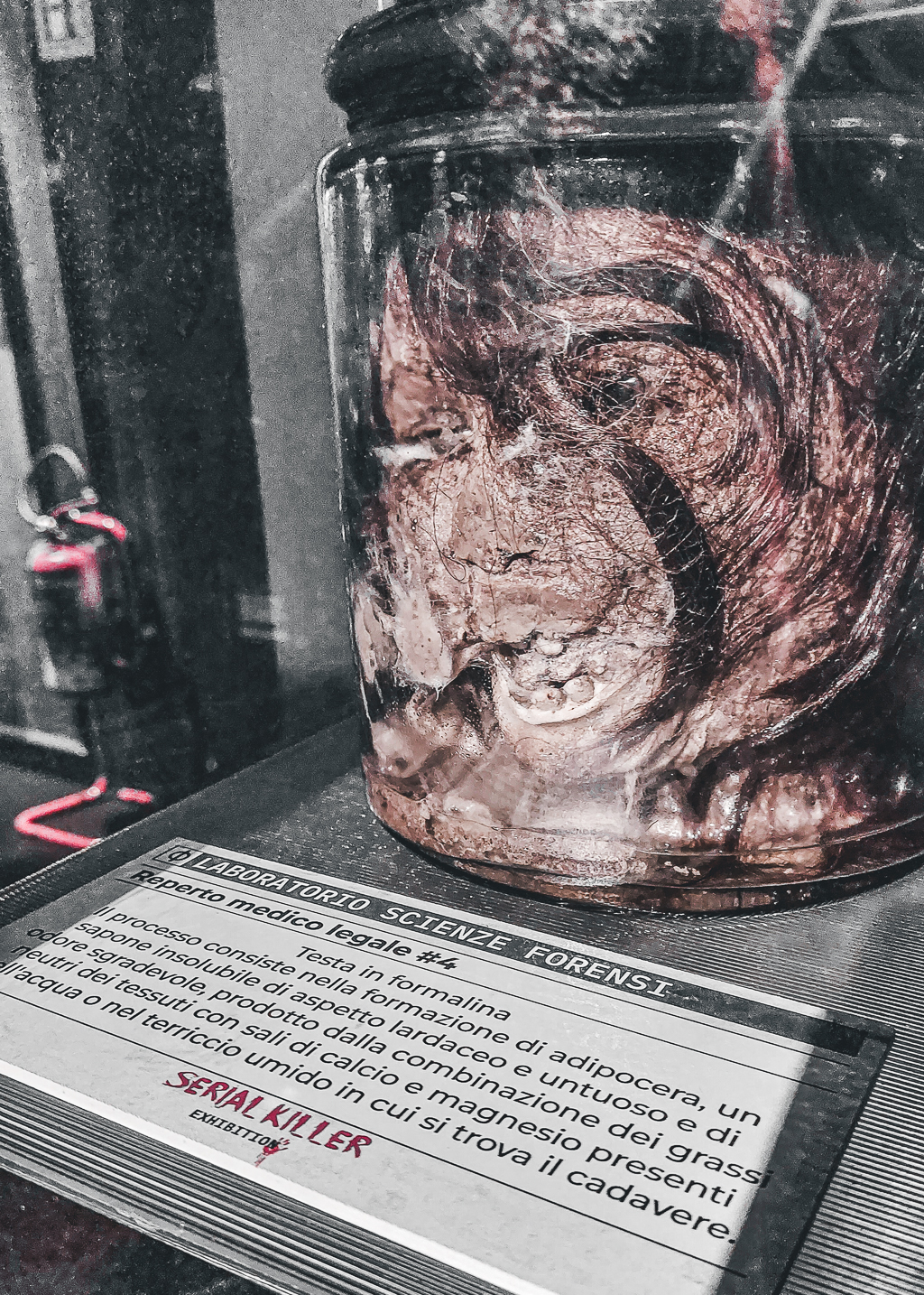 Testa in Formalina - Reperto Scienze Forensi presso “Serial Killer Exhibition” Milano 2023