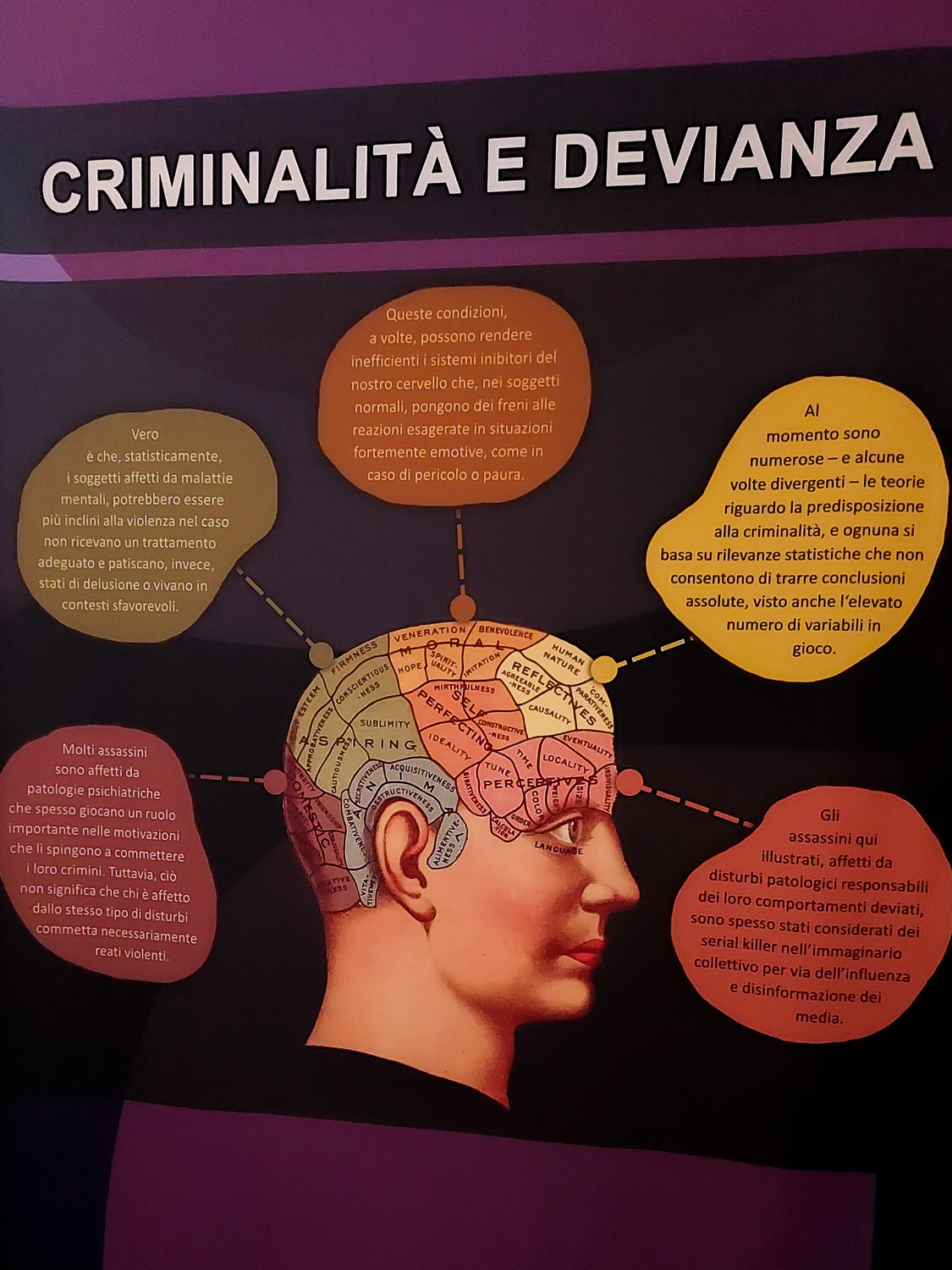 Infografica Criminalità e devianza presso “Serial Killer Exhibition” Milano 2023