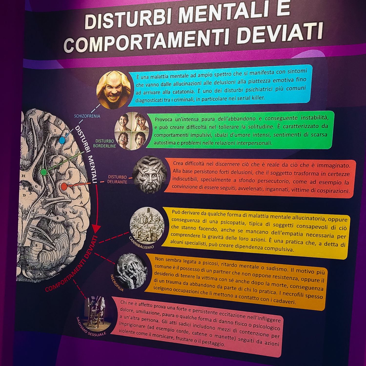 Infografica Disturbi mentali e comportamenti devianti presso “Serial Killer Exhibition” Milano 2023