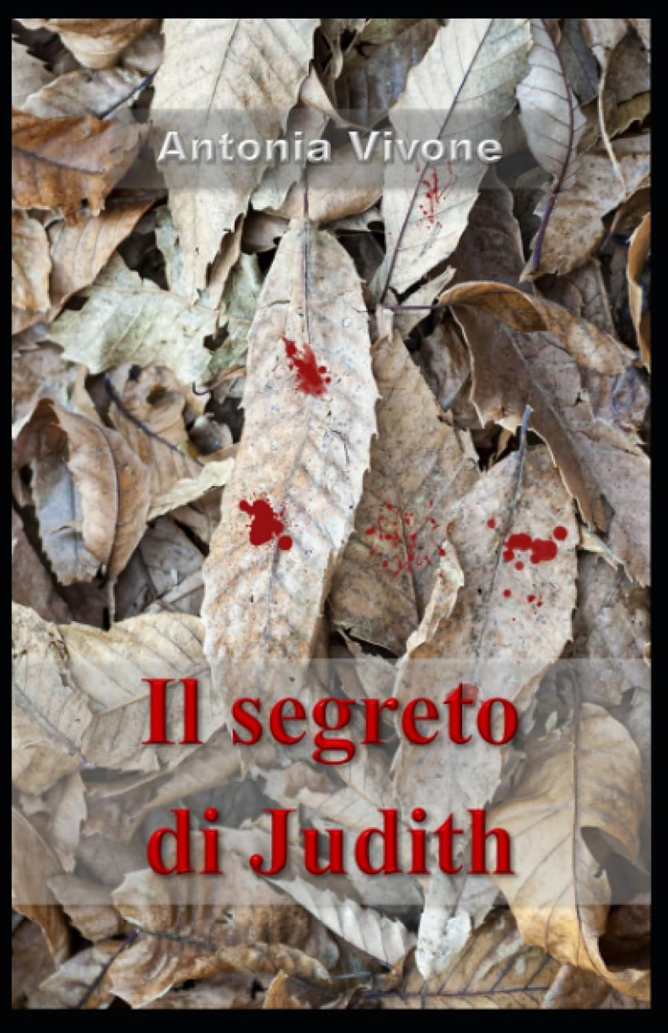 Il segreto di Judith di Antonia Vivone