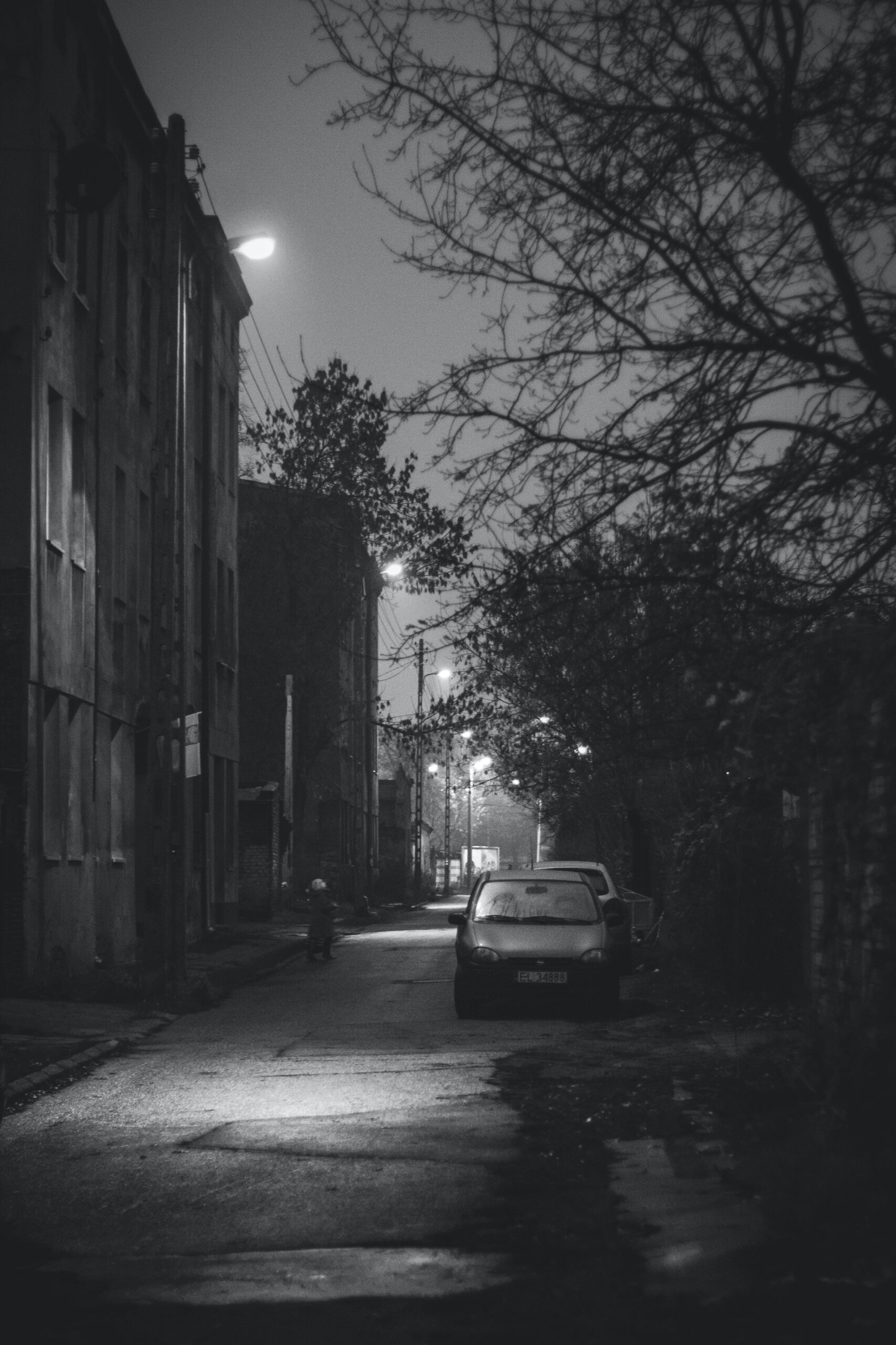 Bologna oscura, delitti e vampiri
