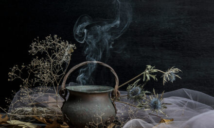 Magical herbs and plants: winter enchantment